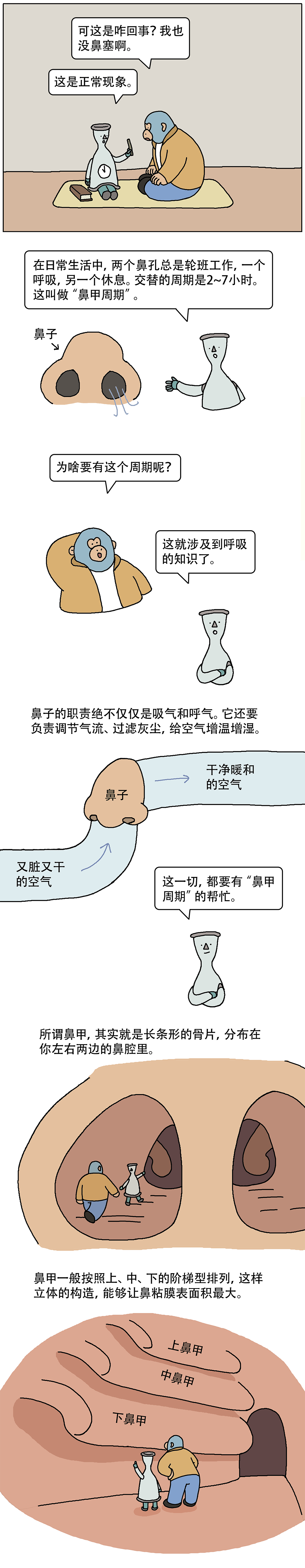 浣熊|哈？你的鼻孔竟然是轮班工作的！