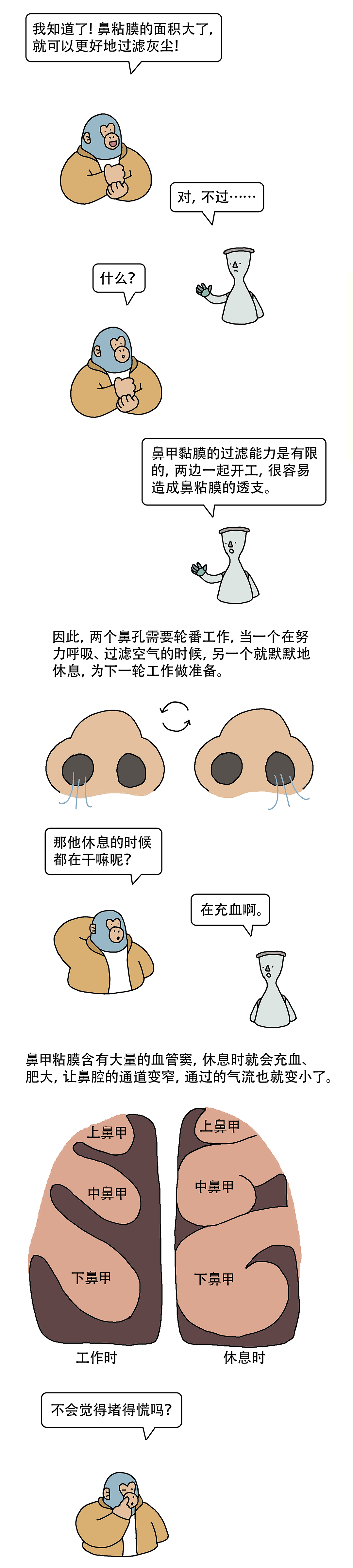 浣熊|哈？你的鼻孔竟然是轮班工作的！