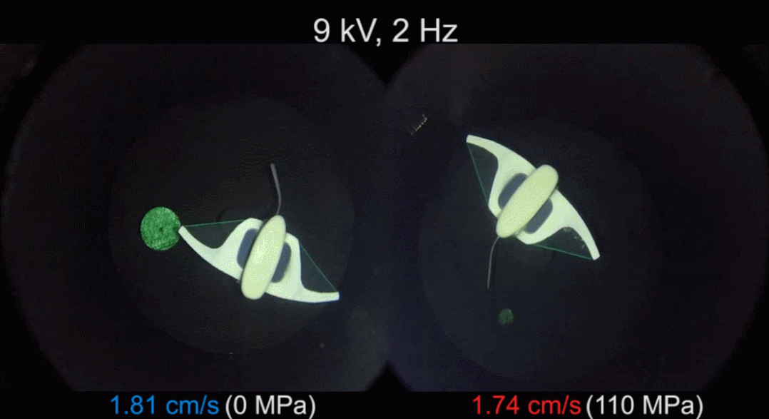 马里亚纳海沟|浙大机器鱼登上Nature封面：深入万米马里亚纳海沟，里程碑式突破
