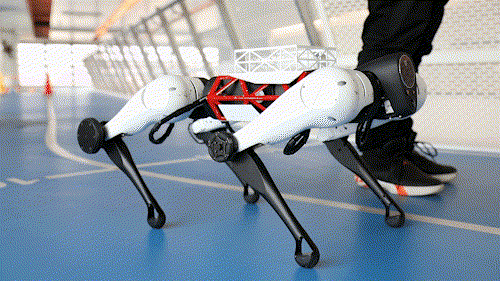 机器狗|鹅厂机器狗竟然偷偷开了外挂！双脚站立翻跟斗，还能跟你踢足球
