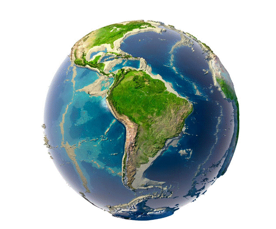 地球|地球上不止人类会说话，植物也可以言语交流？真相跌破眼镜