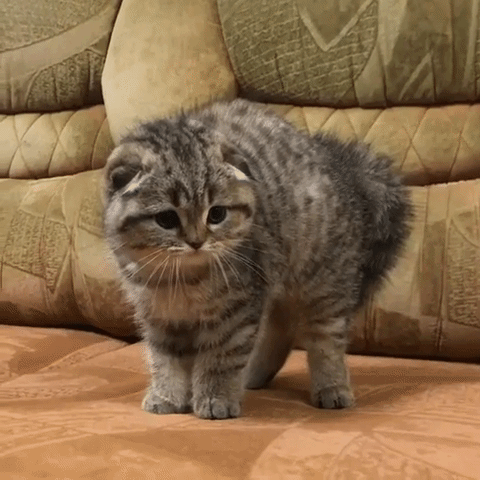 抽搐会起鸡皮疙瘩么(抽搐会起鸡皮疙瘩么吗) 抽搐会起鸡皮疙瘩么(抽搐会起鸡皮疙瘩么吗)