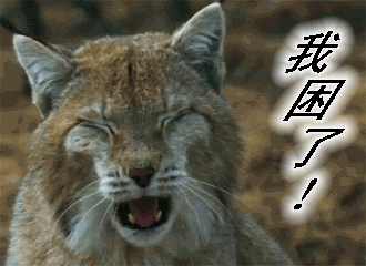 睡眠|不是我不起床，是被子把我封印了！