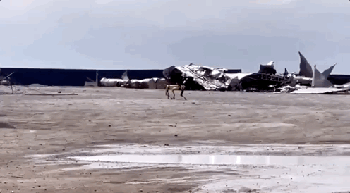 马斯克|马斯克雇机器狗勘察火箭爆炸现场，网友：《黑镜》现实版