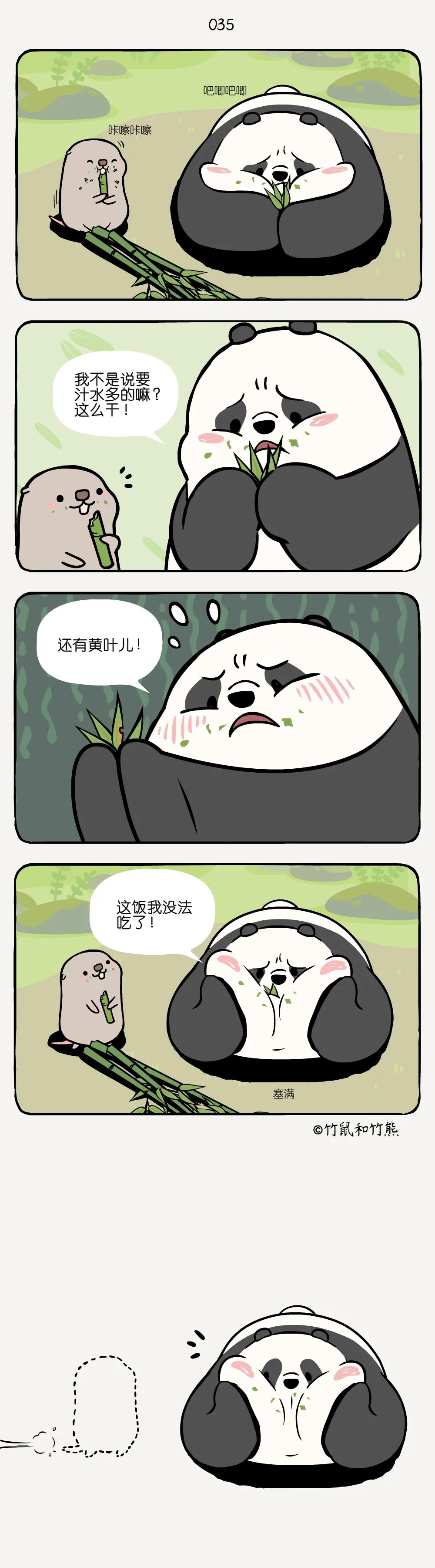 大熊猫|大熊猫也“挑食”？