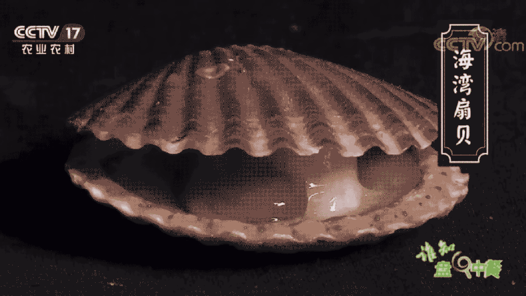 1079_607gif 动态图 动图