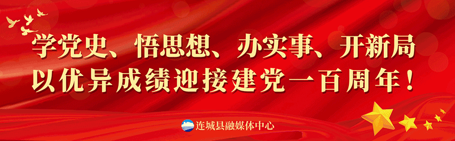 要闻 连城 壮大农业产业项目推动乡村振兴 腾讯新闻
