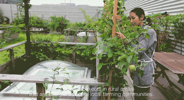 农场|从农场到餐桌，开启办公生活新方式