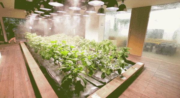 农场|从农场到餐桌，开启办公生活新方式