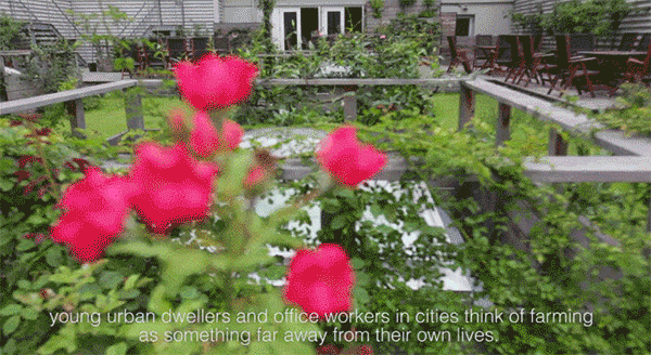 农场|从农场到餐桌，开启办公生活新方式