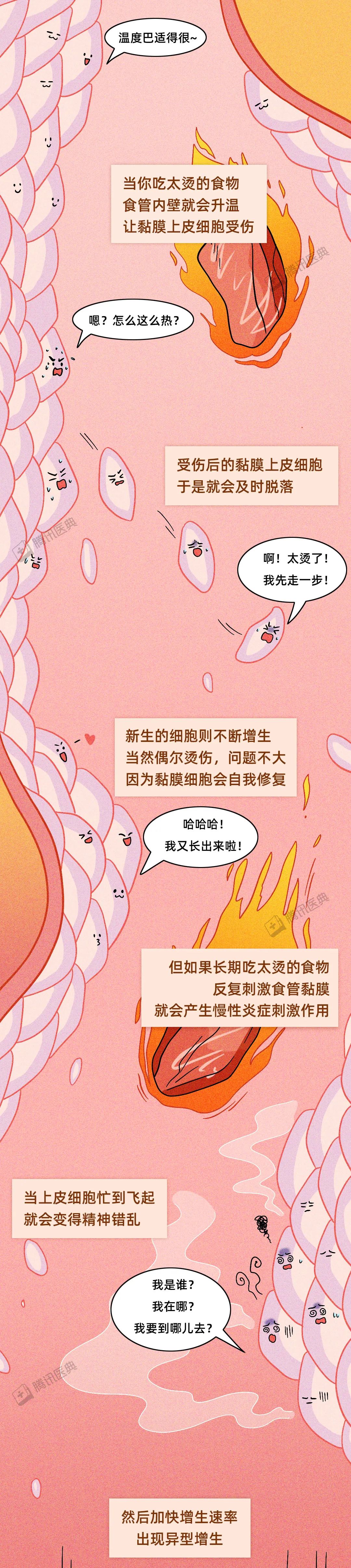 趁热吃|别再趁热吃了！超过65°C，真可能致癌