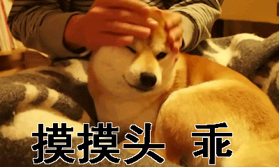 "我是来上班的,不是来讨老板喜欢的!