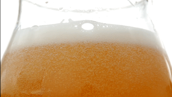 泡沫尿|泡沫尿，就是蛋白尿，就是肾功不全吗？医生辟谣，讲清楚诸多因素