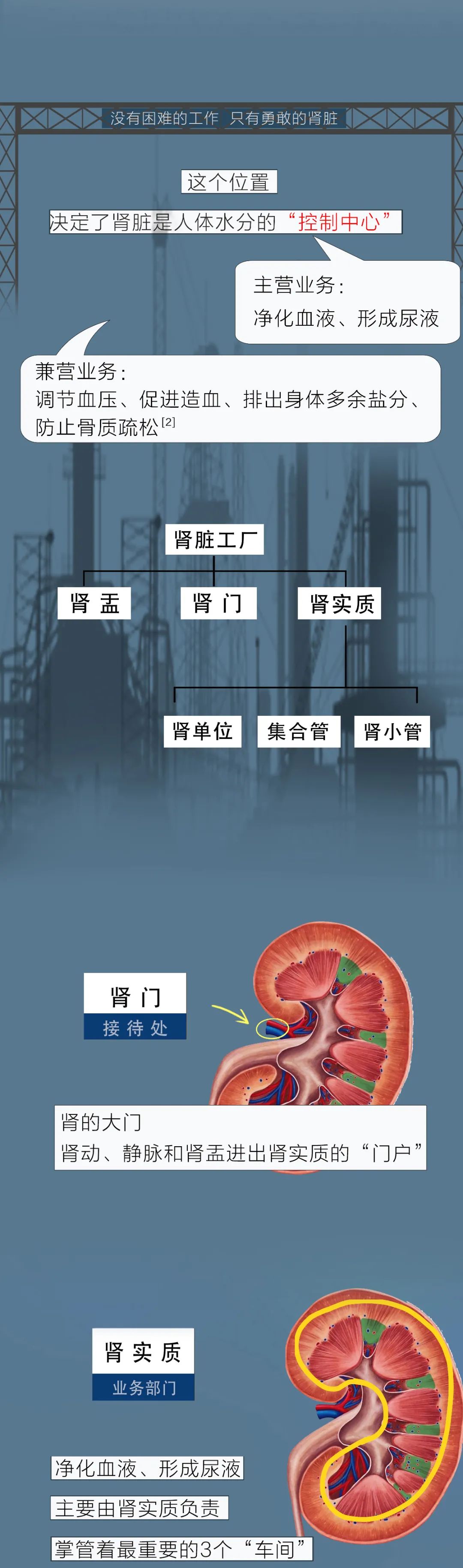 医院|肾好不好，低头看眼尿就知道！