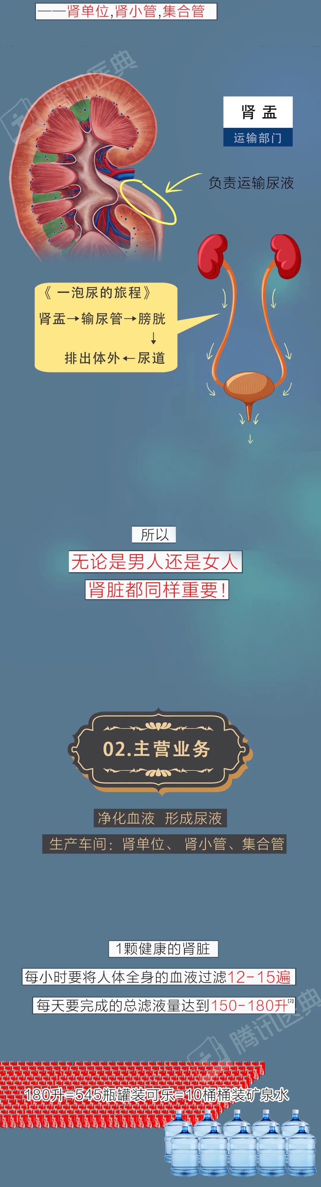 医院|肾好不好，低头看眼尿就知道！