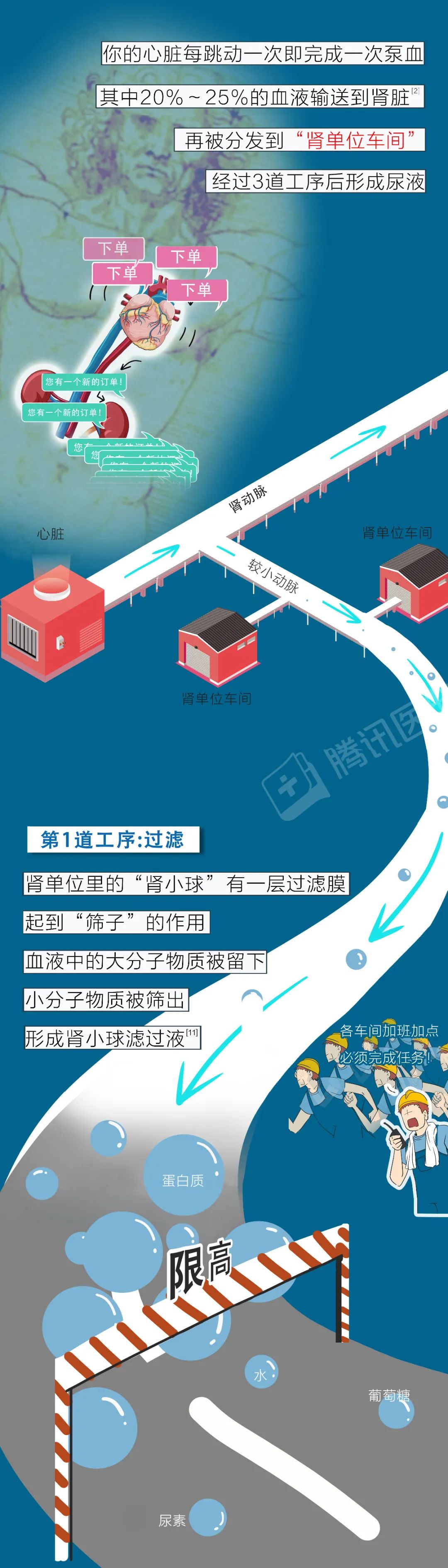 医院|肾好不好，低头看眼尿就知道！