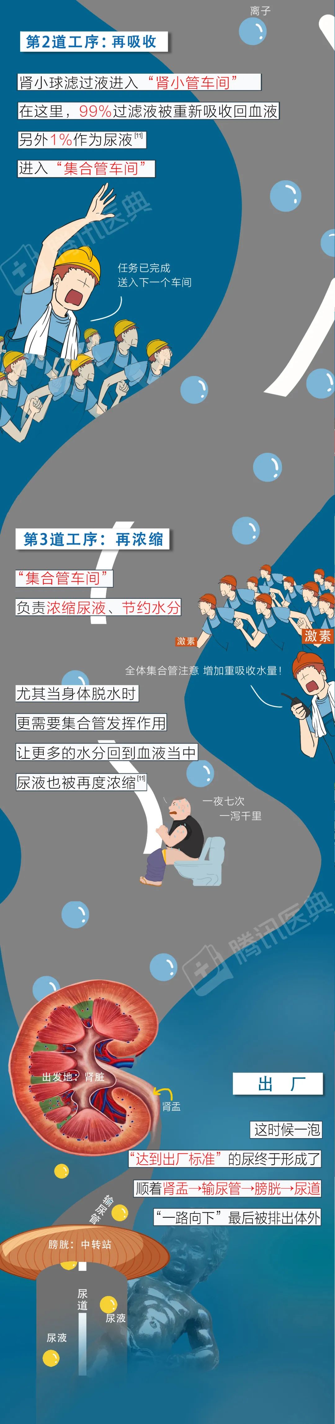 医院|肾好不好，低头看眼尿就知道！