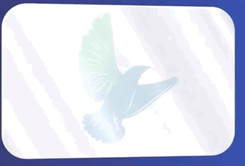 mit|Nature：手机1秒生成3D全息图；MIT团队新作，索尼投钱支持