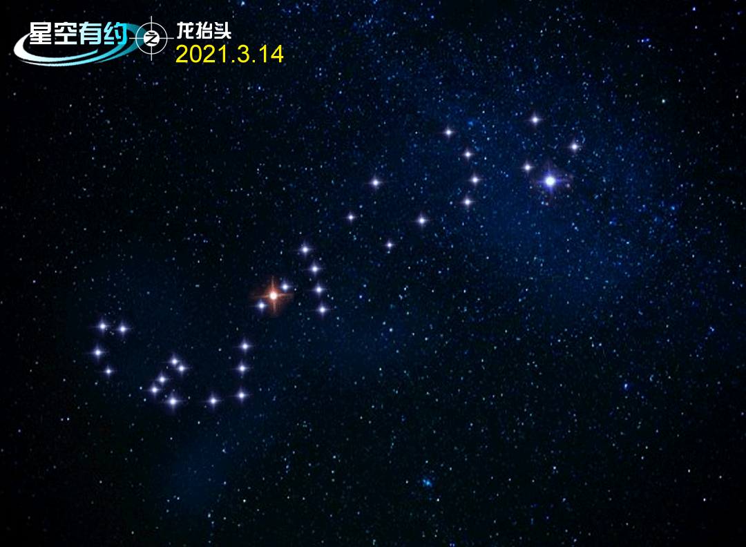 涨知识 农历二月初二将至 星空中哪一条龙会 抬头 腾讯新闻