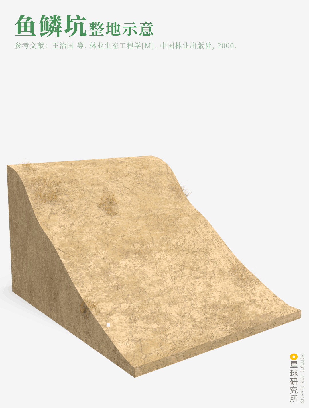 摄影师|植树造林，如何改变中国？