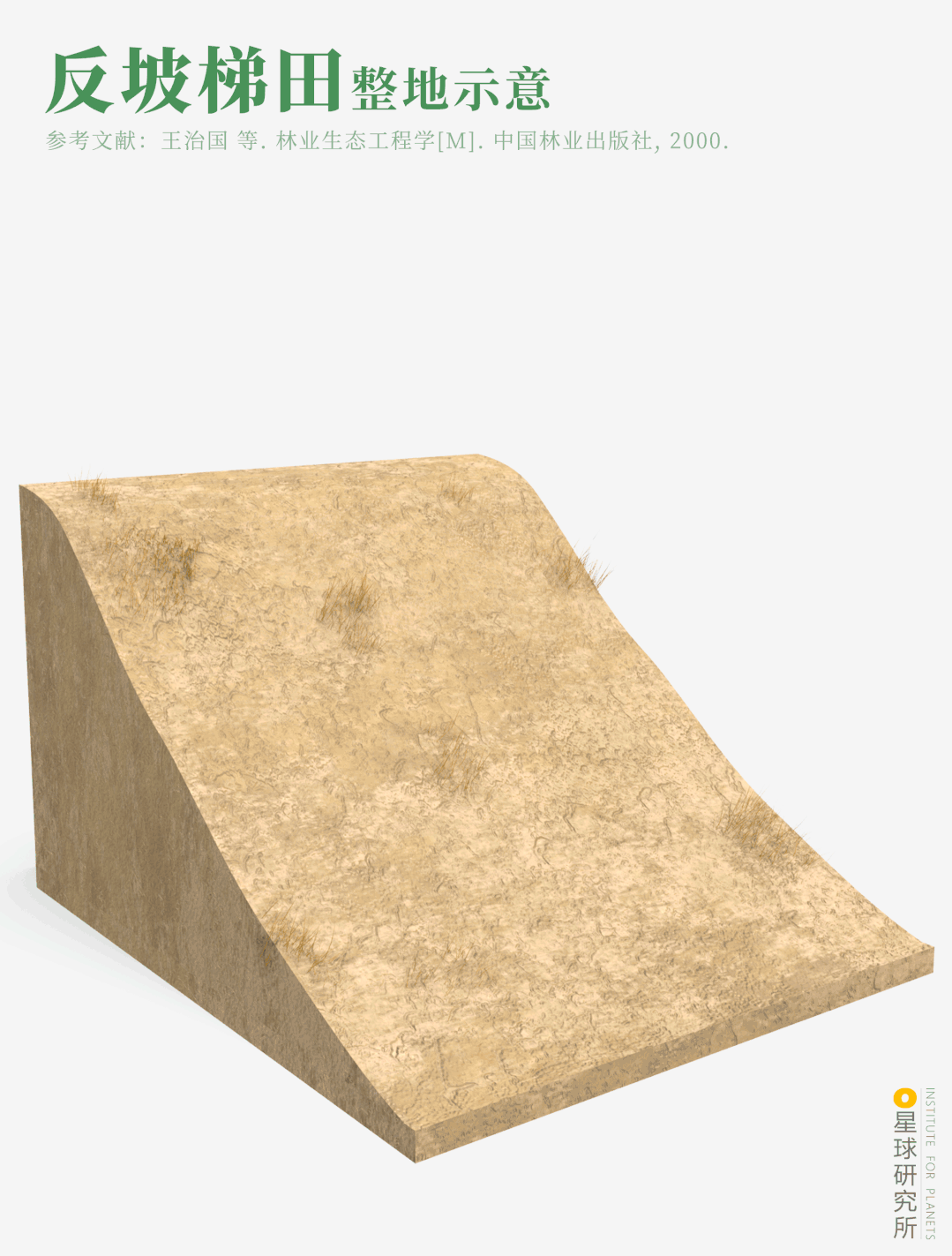 摄影师|植树造林，如何改变中国？