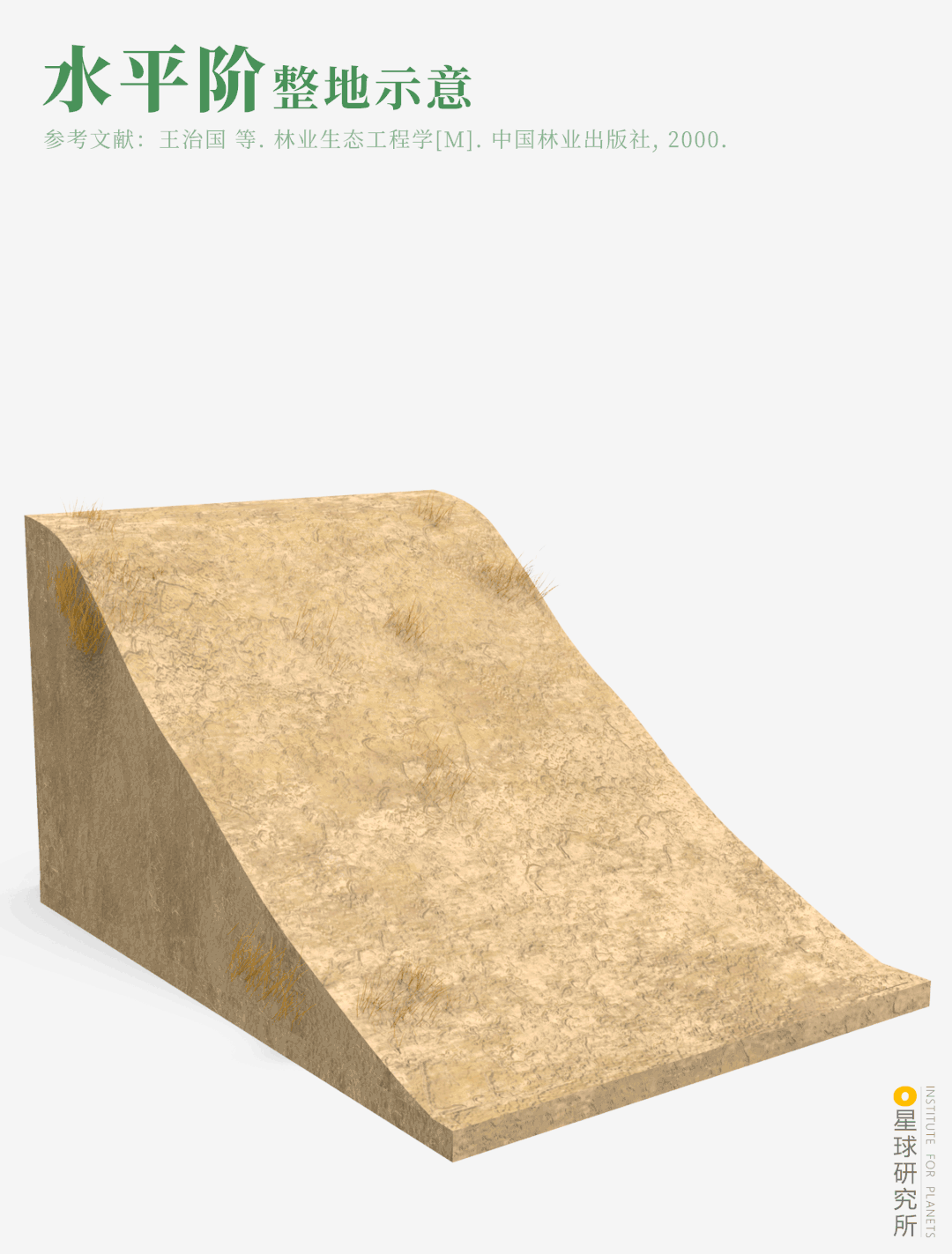 摄影师|植树造林，如何改变中国？