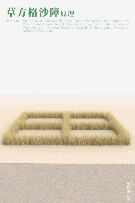 摄影师|植树造林，如何改变中国？