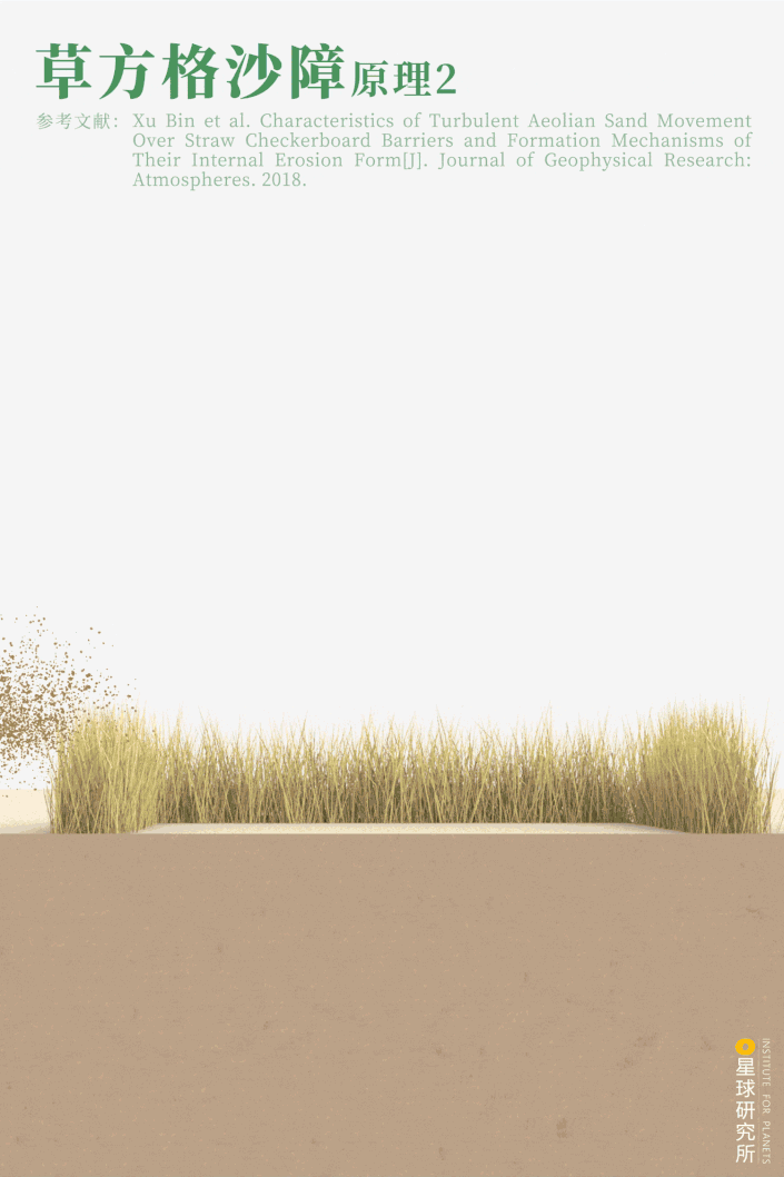 摄影师|植树造林，如何改变中国？