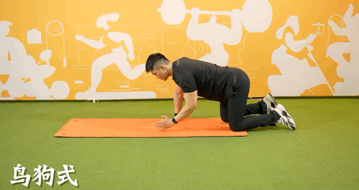 训练|长者健身指南1:缓解腰背痛的训练(现在就是开始运动的最好时机!)