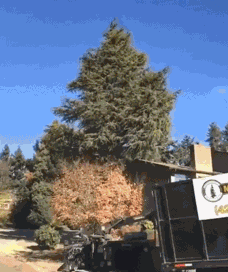 颜值|变胖摧毁颜值的威力，到底有多大？看看这些明星的对比照就知道了