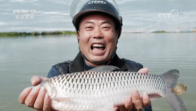致富经2012视频全集(致富经2012年视频全集i)