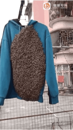 密恐慎入!女子晒了一天的衣服,没想到