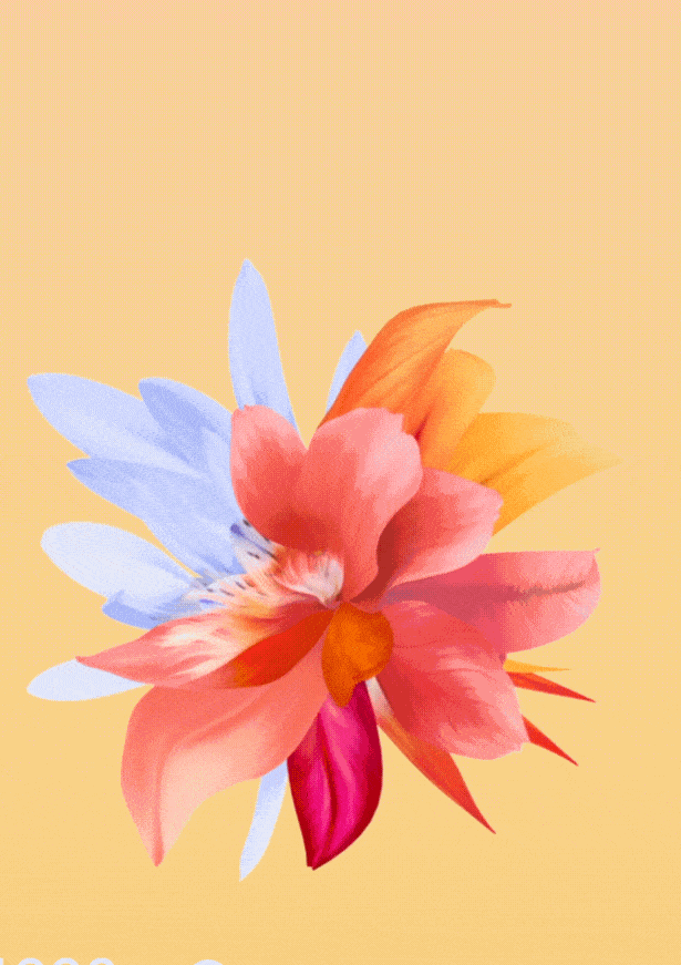 微云台蔡司vivox60pro能否重新定义影像旗舰