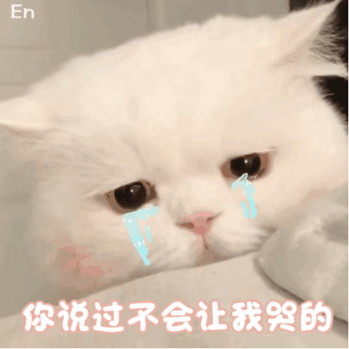 猫猫委屈表情包人家已经掉大珍珠了