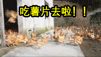 薯片|怎样才能管住嘴？看完3篇论文后我找到了科学少吃的方法！