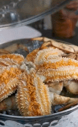 海星|听说胶东半岛海星泛滥，我脑海中出现了108道烹饪方法