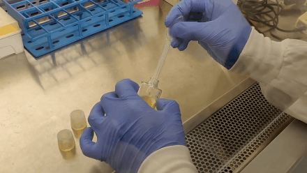 胚胎|科学家首次用机械子宫，让哺乳动物胚胎在体外存活6天丨Nature