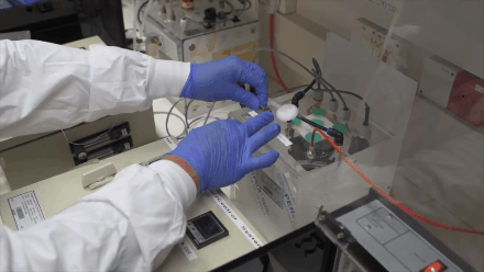 胚胎|科学家首次用机械子宫，让哺乳动物胚胎在体外存活6天丨Nature