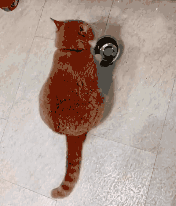 576_675gif 动态图 动图