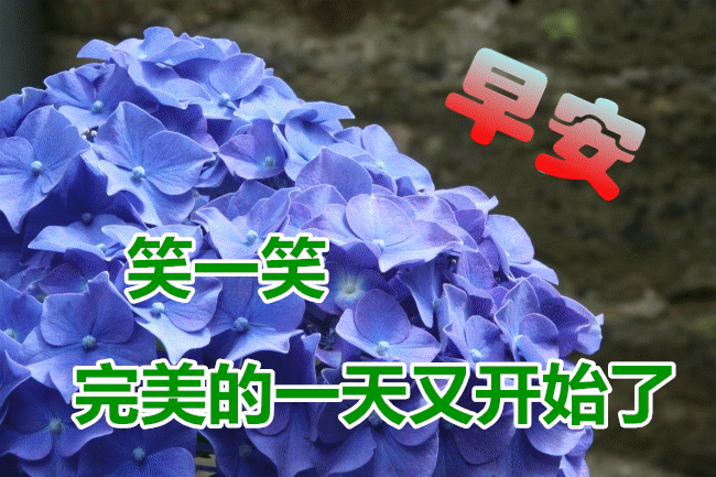 人生没有完美,只有完善;岁月没有十全十美,只有尽量.