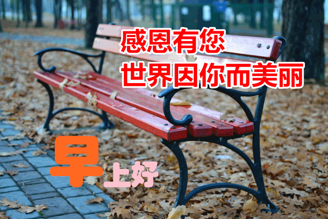 早上好问候表情动态图片大全