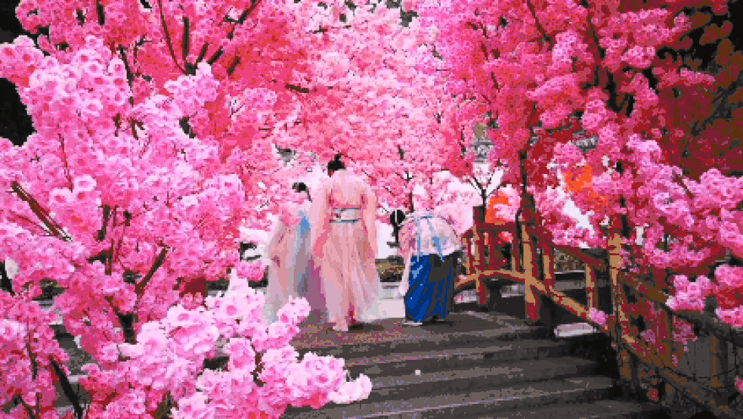2021哈尔滨首届国际灯笼节 樱花主题集市3月26日盛大开幕!领福利!