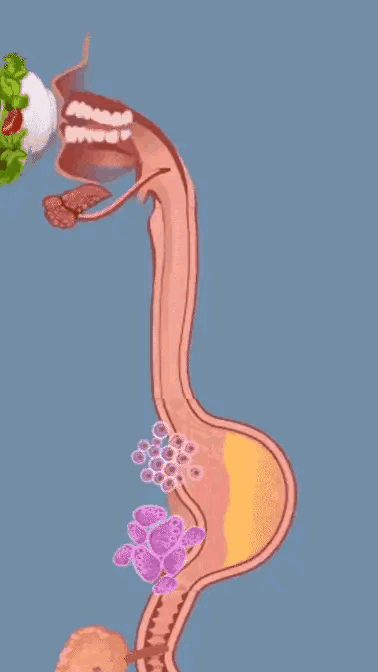 378_672竖版 竖屏gif 动态图 动图