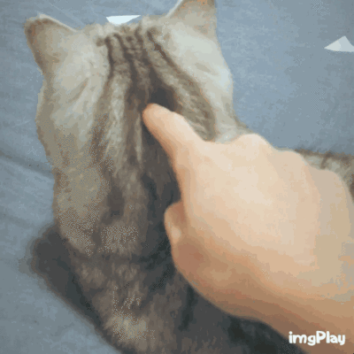400_400gif 动态图 动图