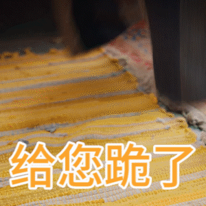300_300gif 动态图 动图
