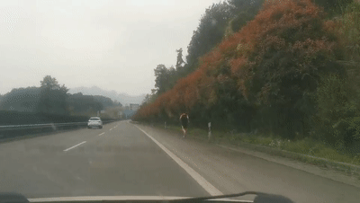 太离谱 男子在高速公路上跑起了 马拉松 知危险会避险 腾讯新闻