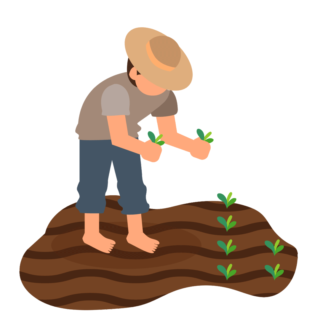 春耕生产正当时早稻育秧播种忙