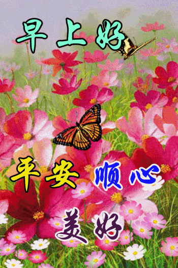 中老年表情包迎春花开幸福来无忧无虑乐自在