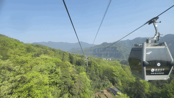 608_342gif 动态图 动图