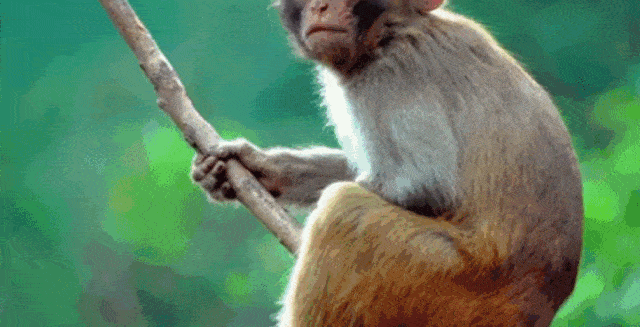 清明节,河北这些必去踏青打卡地,可以让你浪一整个春天